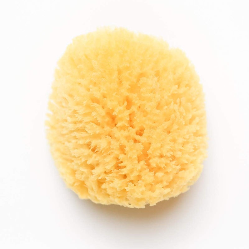 Kyte Baby Natural Sea Sponge 4 to 5 Inches